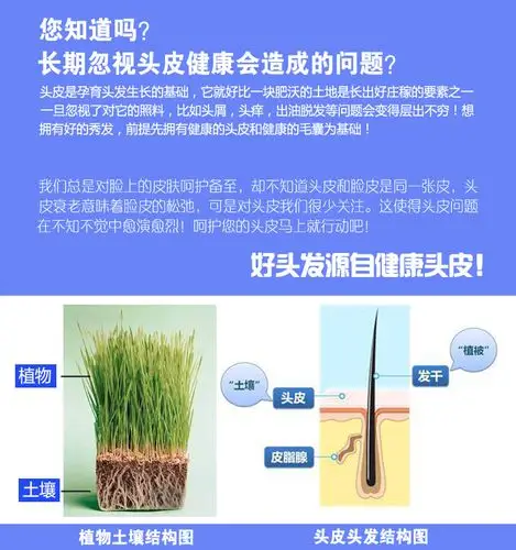 瑷丝坊竹炭毛囊清洁乳清洁头皮去角质控油去屑防脱无硅油植物洗发