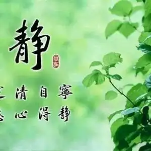 【难得糊涂】头像