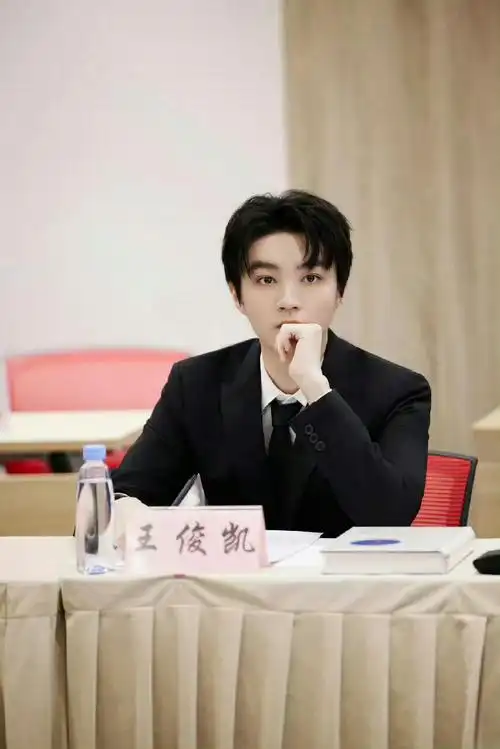 王俊凯高干文男主