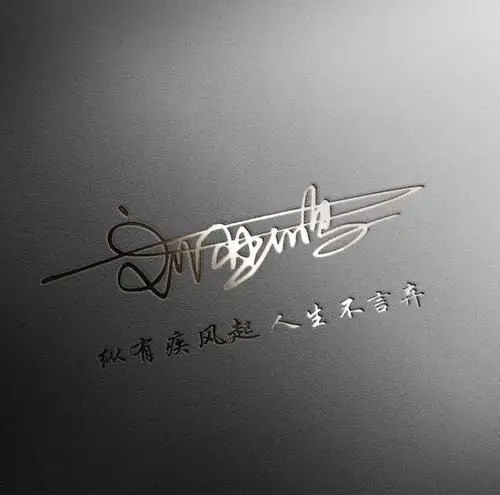 简约大气的微信头像图片_飞机图片大全大图霸气