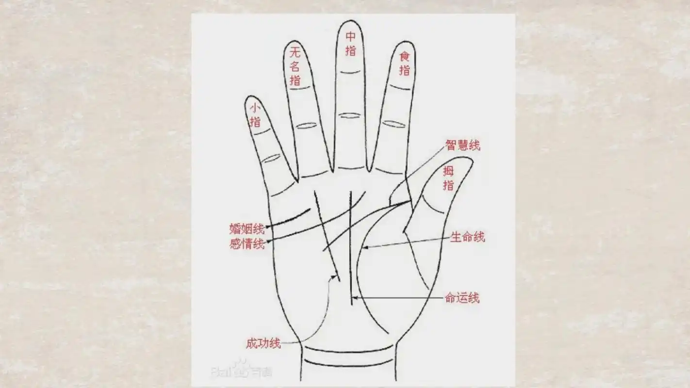 手掌大指头短的手相,"女人指头短-相术-荣耀易学