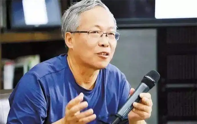 杨澜的前夫张一兵是谁 和前夫怎么认识的