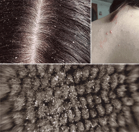 烦为什么女生一定要吹头发