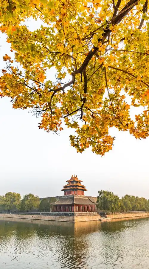 北京深秋美景如画##故宫