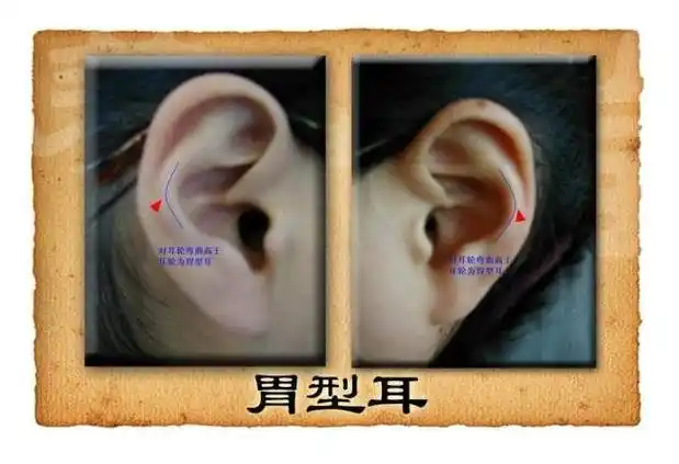 养生堂耳朵泄露的秘密