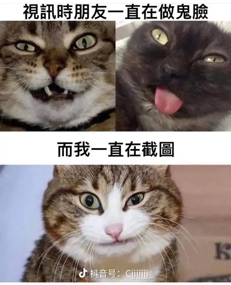 我也喜欢.#猫咪表情包 #搞笑图片 #朋 - 抖音
