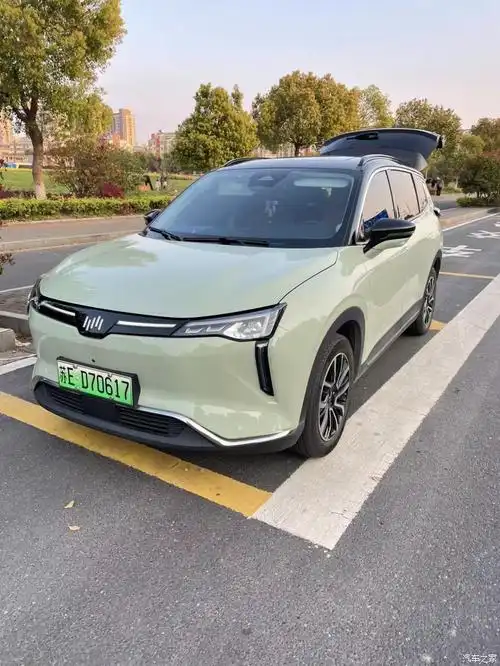 汽车之家iphone版 威马w6晨曦绿提车分享 我很早的时候就关注威马汽车