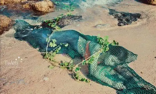 以"渔民在广南省(quang nam)海滩抓到48公斤重的美人鱼"为标题,在其他