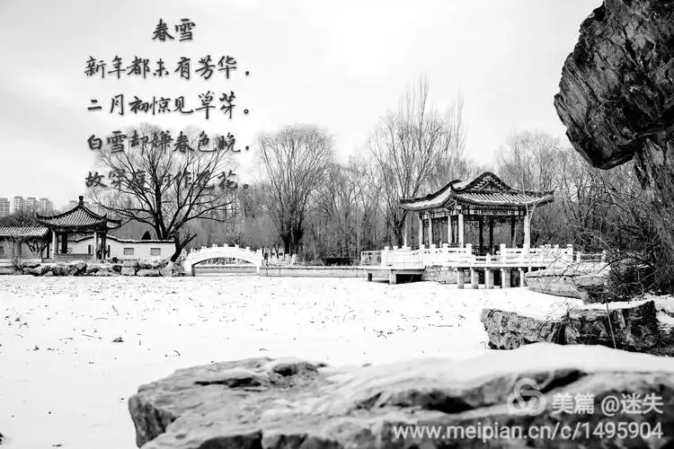 湖滨公园的2017第一场春雪《影游视界》播报