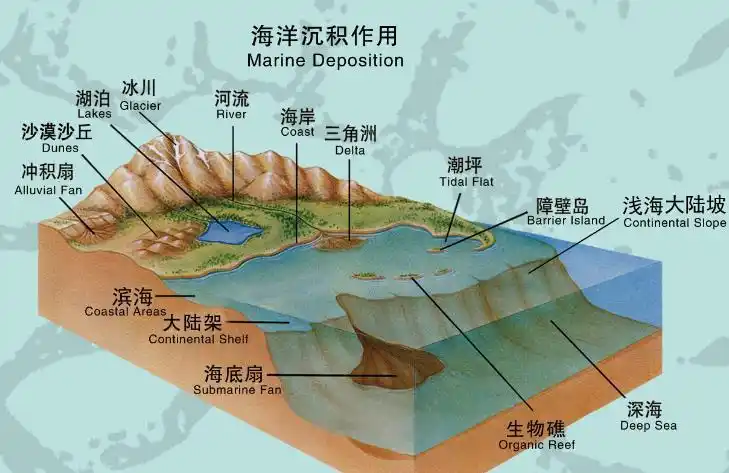 海水中溶解物质的化学反应和海洋生物对海岸,海底岩石和地形的破坏和
