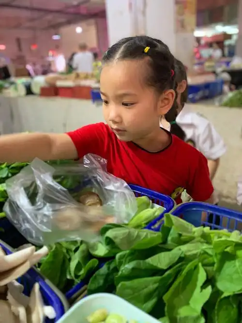 其它 云迪a班买菜记 写美篇帮助小朋友了解蔬菜的种类及特征,激发对