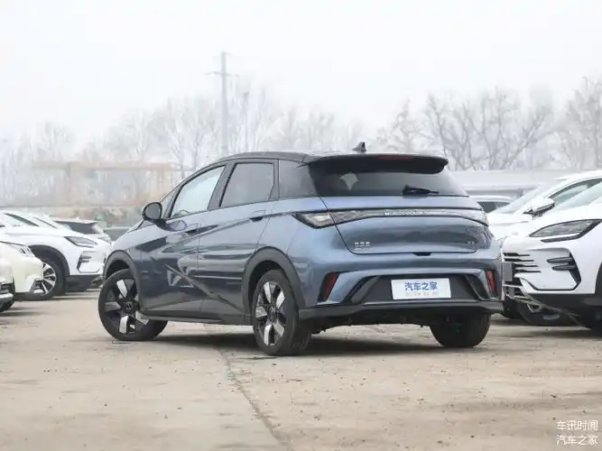 比亚迪海豚时尚前卫小型电动汽车