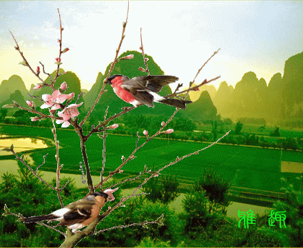 英雄精美透明flash特效素材-春色 春韵 花语(48) 1, http://www.