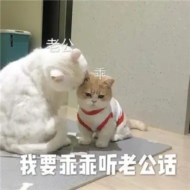 对老公撒娇卖萌的表情包要乖乖听老公话的表情包