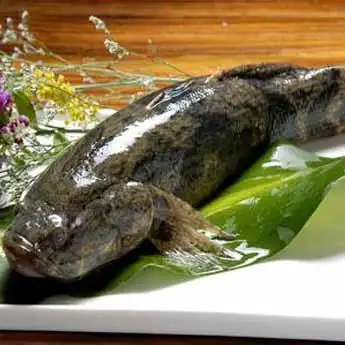 笋壳鱼活鲜300g500g条￥1105500g￥021g