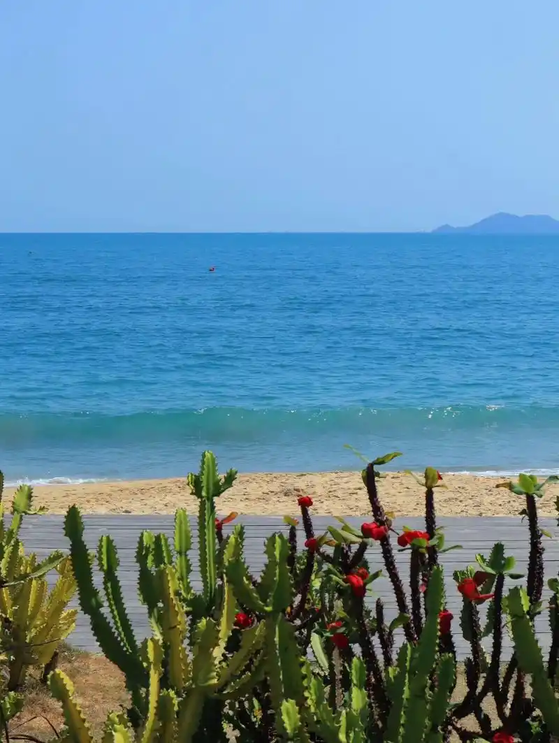 大梅沙怎么玩?旅行游玩全攻略来了!大梅沙海滨公园在沙滩界里绝 - 抖