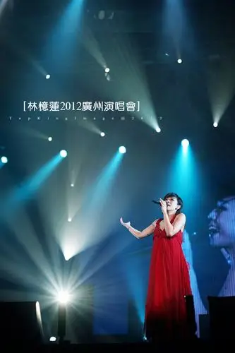 林忆莲2012广州演唱会现场
