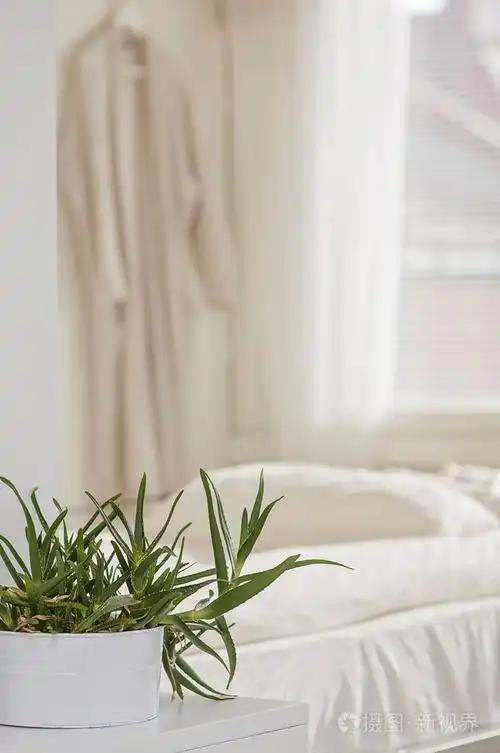 温馨舒适的家庭卧室内饰, 装饰柔软,豪华,和谐.