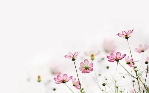 qq风尚唯美背景