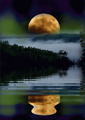 300_422竖版 竖屏gif 动态图 动图