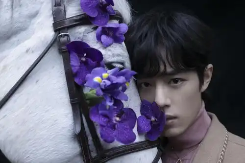 肖战又拍芭莎照啦!