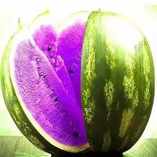 紫色西瓜,你们见过吗?