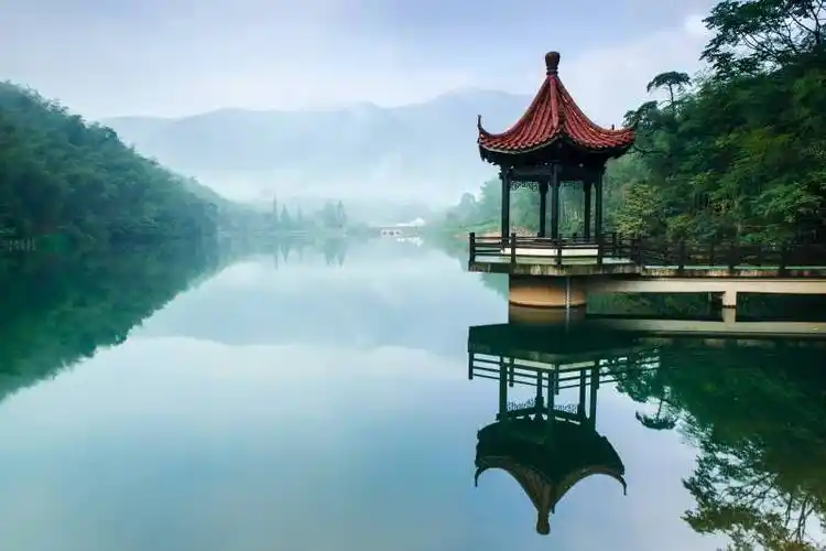 去宜兴竹海,找一找山水间的夏天_竹林_风景区_太湖