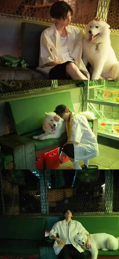 与王源十年璀璨共往