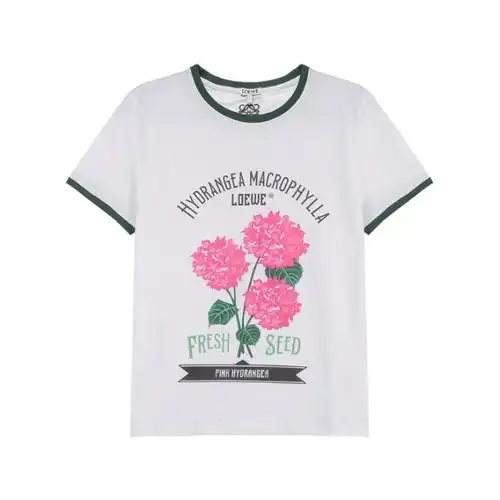 罗意威loewe女士棉质圆领短袖t恤s540y22x29视频