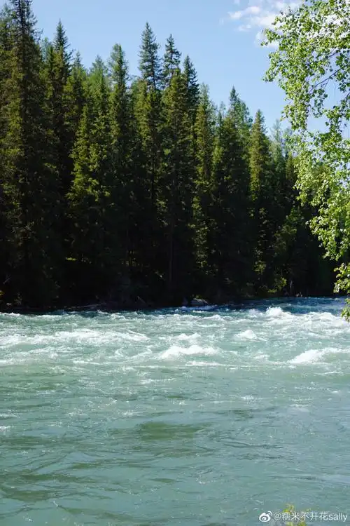 也毫不逊色,森林,草原,雪山,湖泊,都像是从油画里走出来的风景90