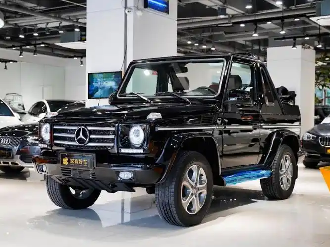 奔驰g级车型(奔驰g系列轿车)