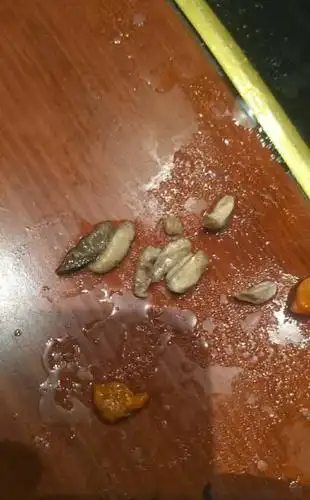 要吐了新郑市民吃涮锅吃出十几条蛆虫店家却这样解释