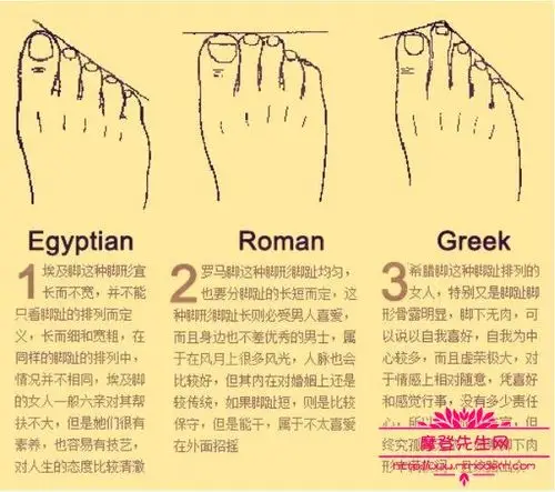 主页 天下奇闻                埃及脚     "埃及脚"脚型最普遍,大