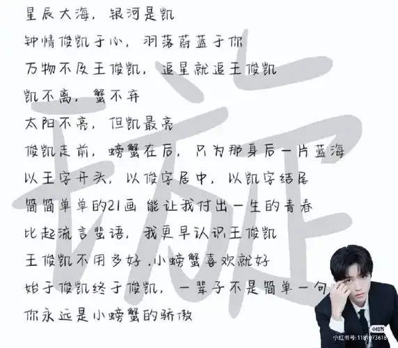 王俊凯应援囗号,欢迎评论区补充#王俊凯  #tfboys王俊凯