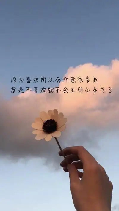 手机桌面背景文字