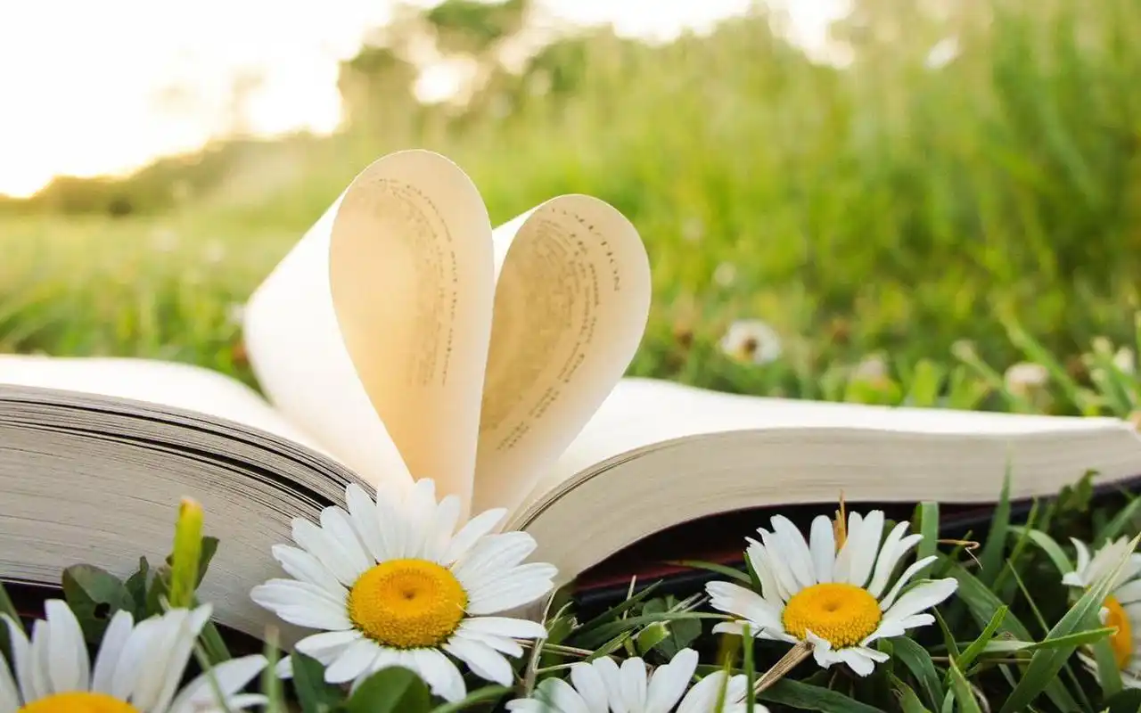 唯美静物书本爱心电脑宽屏壁纸-高清壁纸-壁纸下载-美桌网