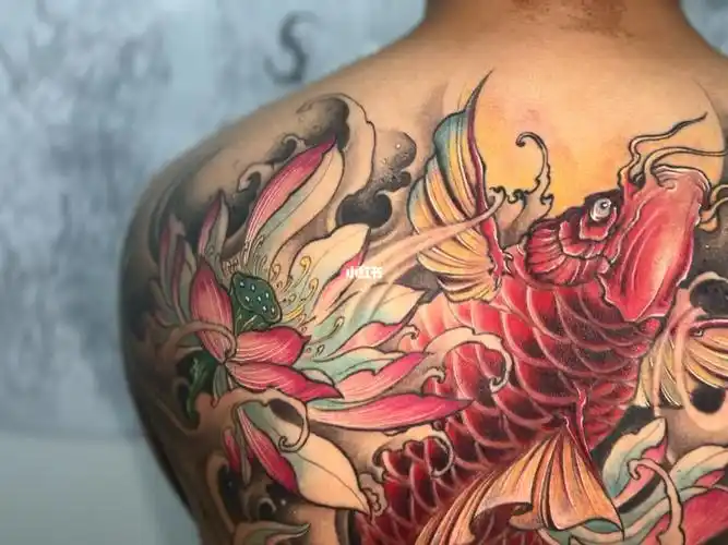 锦鲤纹身  #半背纹身  #男士纹身  #后背纹身  #新传统纹身  #彩色