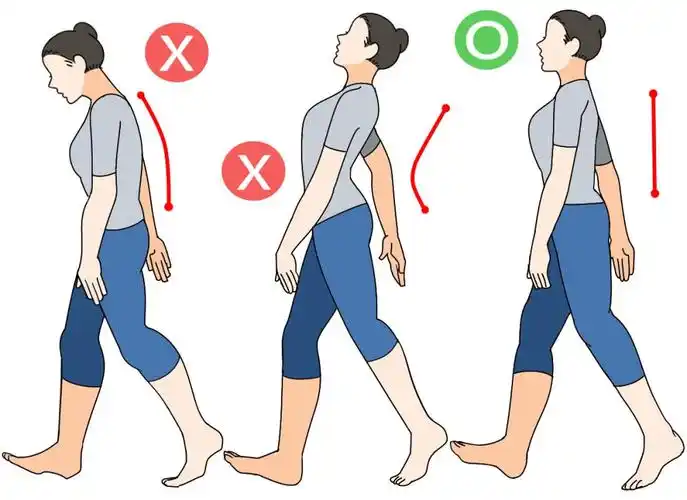 正确走路的姿势(如何维持健康体态)-52线报网
