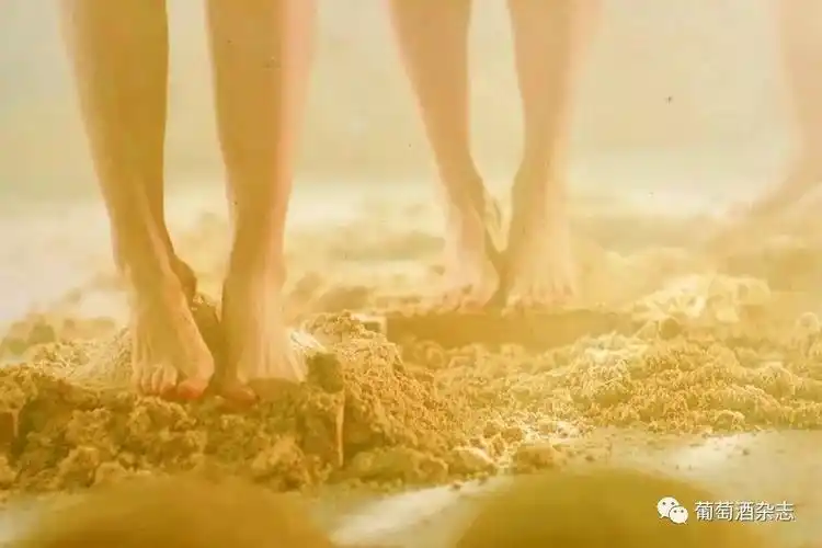 都是用脚踩为啥茅台和葡萄酒没人嫌弃