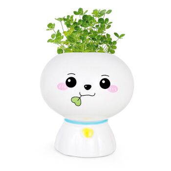 叶子娃娃-幸运草【图片 价格 品牌 报价】-京东