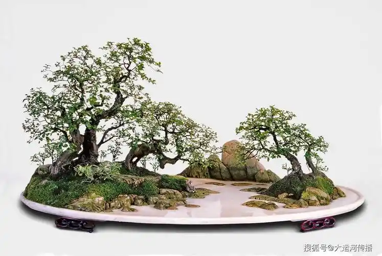 运河之子|赵庆泉: 成名作是《八骏图》扬派盆景走向世界第一人_扬州