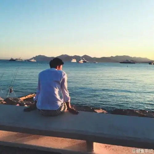 面朝大海的是鲸鱼