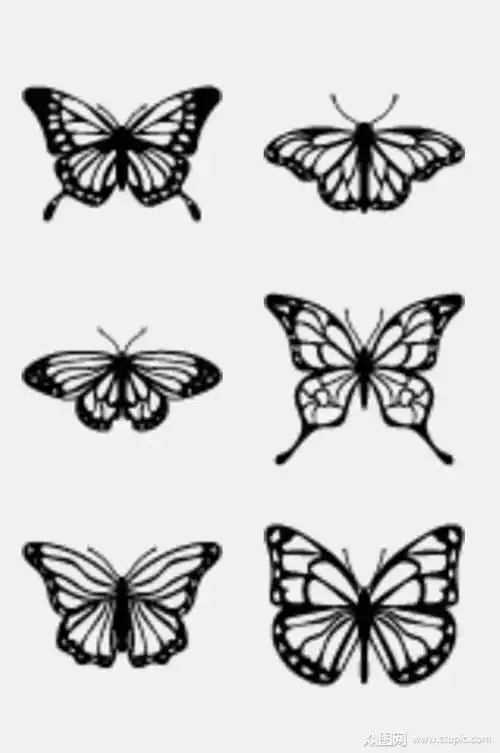 手绘创意黑白蝴蝶免抠素材