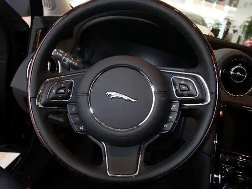 方向盘带有狮子标的是什么车