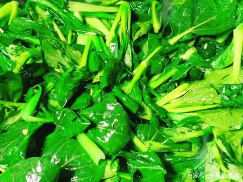 很多人忽略了这菜,钙比人参都高,多给孩子吃长高个,才2元1斤