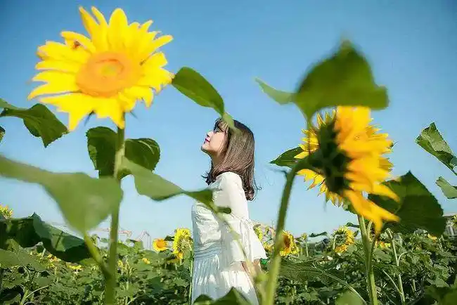 人,总要开心了,才能有更好的心情和精力去和生活战斗.