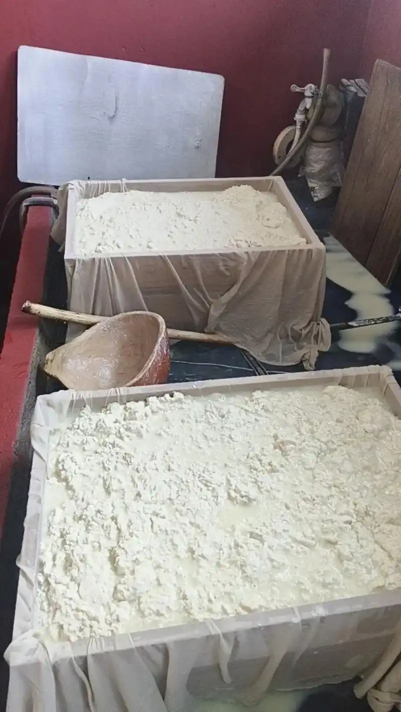 正宗卤水点豆腐王家古城