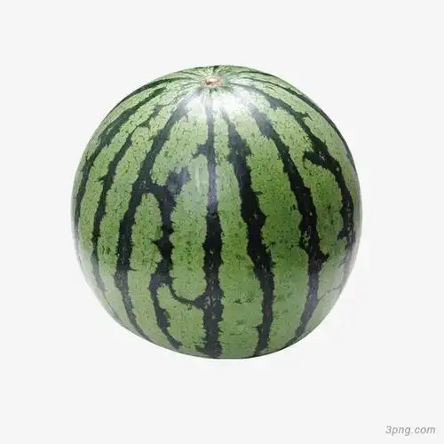 绿色圆形西瓜png素材透明免抠图片-其他元素-三元素3png.com