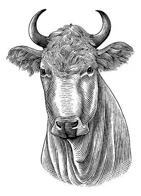 财神黑白线稿相关素材