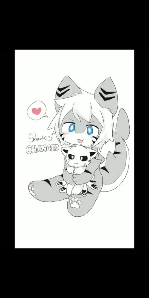 changed同人图喵鲨篇